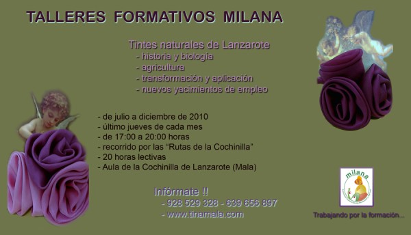 Talleres formativos sobre tintes naturales