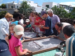 Niños llenando sacos para diseminar la cochinilla - Rescate del cultivo de la cochinilla en Mala y Guatiza (Lanzarote- Islas Canarias)