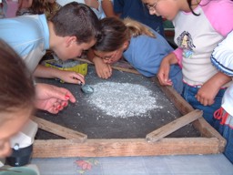 Niños observando la cochinilla - Rescate del cultivo de la cochinilla en Mala y Guatiza (Lanzarote- Islas Canarias)