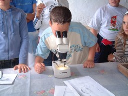 Niños  mirando por el microscopio - Rescate del cultivo de la cochinilla en Mala y Guatiza (Lanzarote- Islas Canarias)