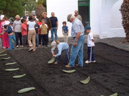Rescate del cultivo de la cochinilla - Niños plantando tuneras